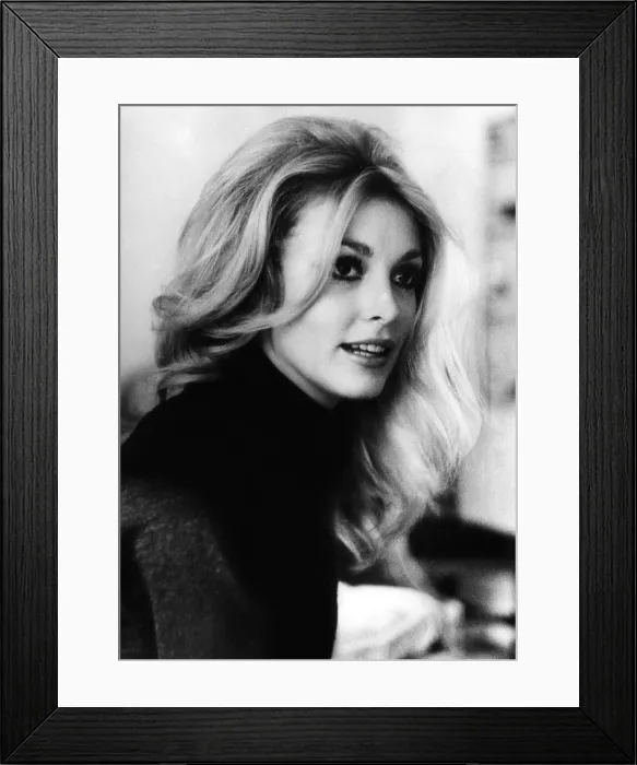 Framed Print : Actress Sharon Tate, (1943-1969), who was murdered in her home by members of the Charles Manson Family, 1965.. Courtesy: CSU Archives / Everett Collection Framed Print : Actress Sharon Tate, (1943-1969), who was murdered in her home by members of the Charles Manson Family, 1965.. Courtesy: CSU Archives / Everett Collection