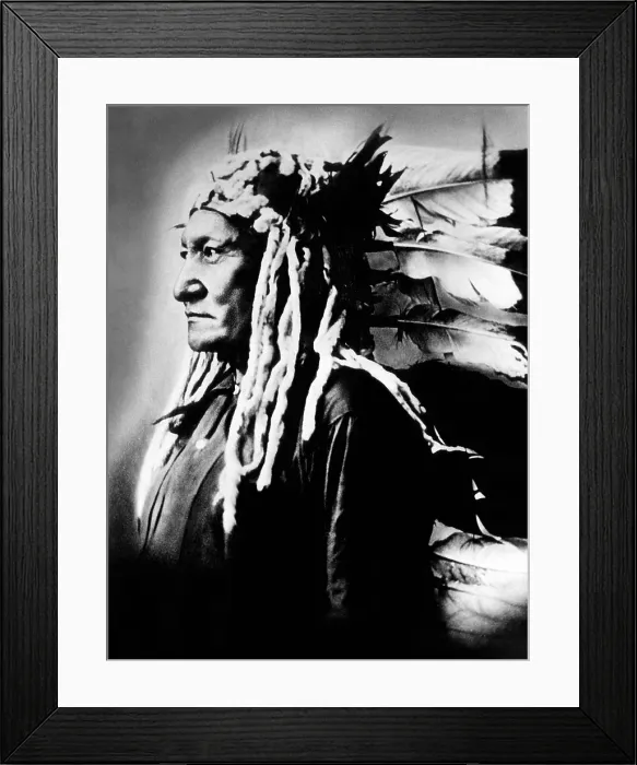 Framed Print : Native American Sioux chief Sitting Bull, (c. 1831-1890), best known for his victory at Battle of Little Big Horn, c. 1880's.. Courtesy: CSU Archives  /  Everett Collection