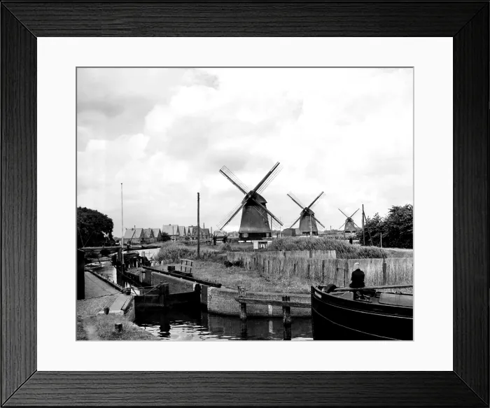 Framed Print : This sylvan dutch country scene near Alkmaar, Holland, shows one of the small canals that branch off from the Great North Canal. ca. 1940 Framed Print : This sylvan dutch country scene near Alkmaar, Holland, shows one of the small canals that branch off from the Great North Canal. ca. 1940
