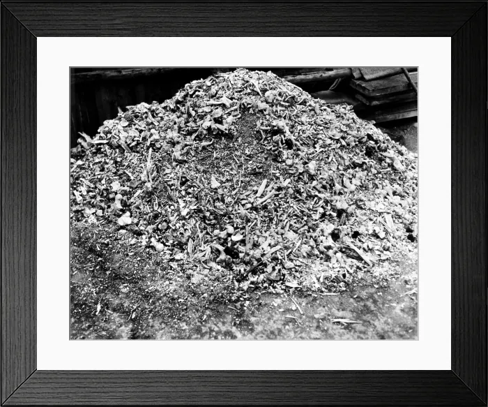 Framed Print : A heap of bones and ashes representing a single day's killing at the German Concentration Camp at Weimar. 4 / 26 / 45. Courtesy CSU Archives / Everett Collection