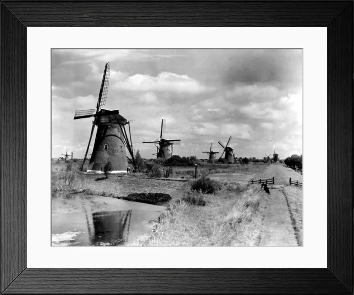 Framed Print : Windmill Row near Rotterdam, Holland, where exists the greatest concentration of windmills in the world. ca. 1949. Courtesy: CSU Archives / Everett Collection