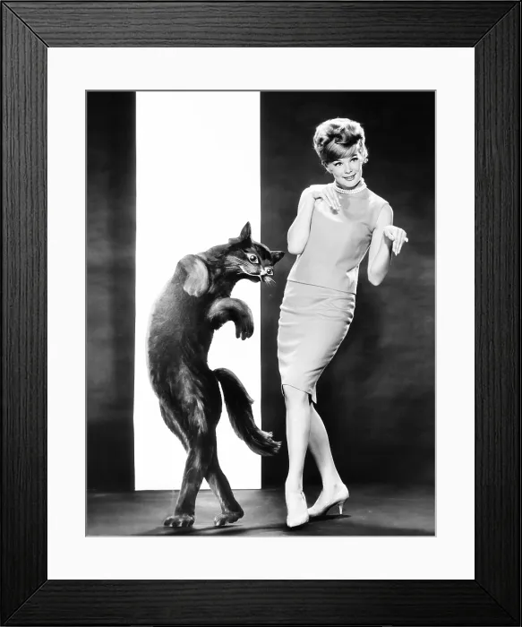 Framed Print : Linda Evans in MGM studio publicity pose, ca. 1963 Framed Print : Linda Evans in MGM studio publicity pose, ca. 1963