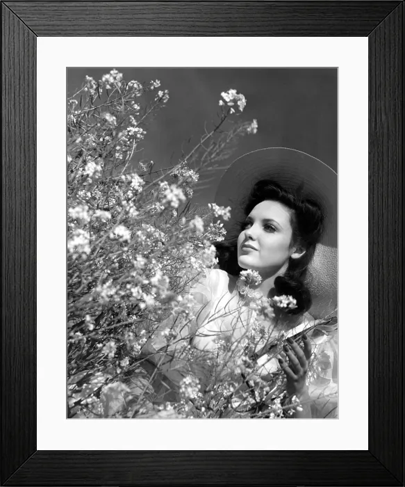 Framed Print : Linda Darnell, 1943 Framed Print : Linda Darnell, 1943