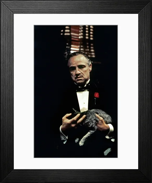 Framed Print : THE GODFATHER, Marlon Brando, 1972
