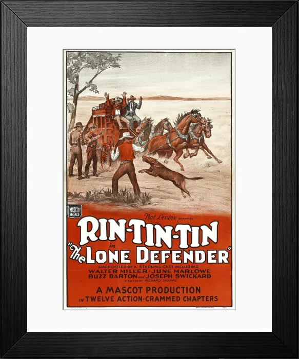 Framed Print : THE LONE DEFENDER, Rin Tin Tin, 1930 Framed Print : THE LONE DEFENDER, Rin Tin Tin, 1930