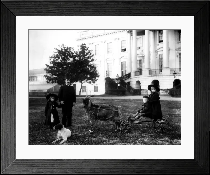 Framed Print : President Benjamin Harrison's son, Russell watches the grandchildren on the White House grounds, ca. 1890s. Courtesy: CSU Archives / Everett Collection Framed Print : President Benjamin Harrison's son, Russell watches the grandchildren on the White House grounds, ca. 1890s. Courtesy: CSU Archives / Everett Collection