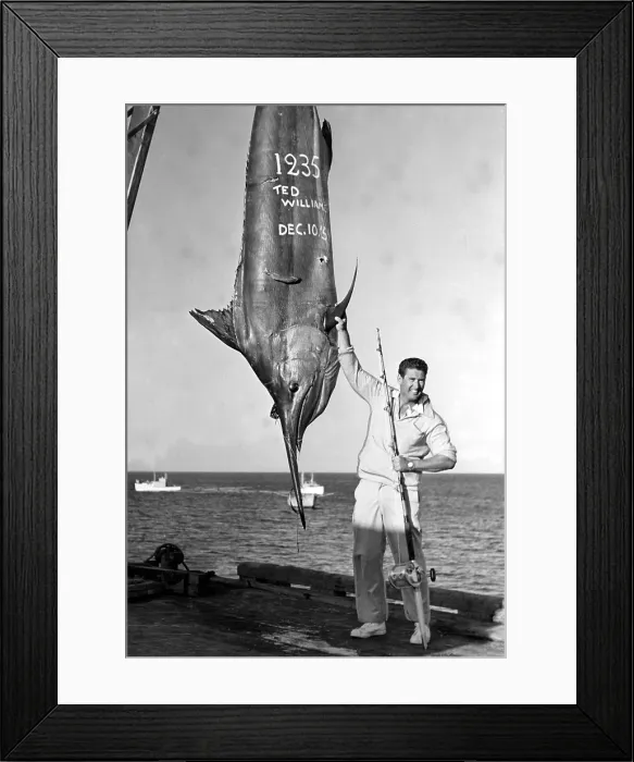 Framed Print : Ted Williams displays deep-sea fishing catch, 12-10-54. Courtesy: CSU Archives  /  Everett Collection