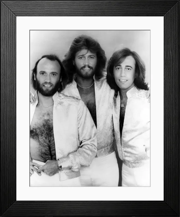 Framed Print : The Bee Gees, Maurice Gibb, Barry Gibb, Robin Gibb, 1979. Courtesy: CSU Archives / Everett Collection