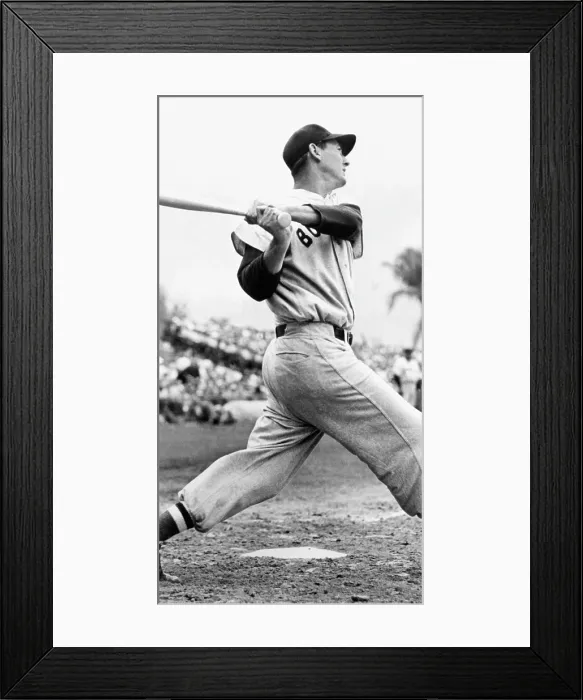 Framed Print : Ted Williams of the Boston Red Sox, ca. 1951 Ted Williams gets batting practice by hitting grapefruits pitched by Red Xox Manager Joe Cronin. Sarasota, Fla, March 2, 1940