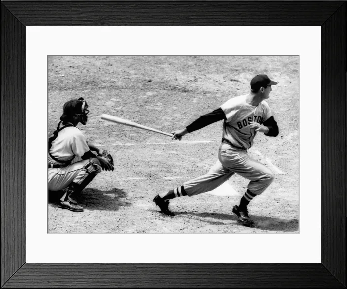 Framed Print : Ted Williams of the Boston Red Sox, Detroit, Michigan May 19, 1954 Ted Williams gets batting practice by hitting grapefruits pitched by Red Xox Manager Joe Cronin