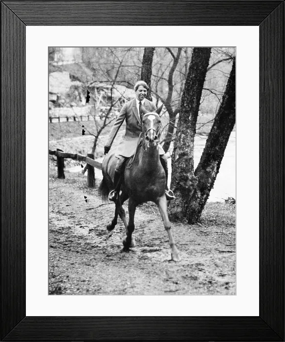 Framed Print : First Lady Eleanor Roosevelt, on her horse, Dot, along the Rock Creek Bridle Path, Washington DC, March 21, 1933.Courtesy: CSU Archives / Everett Collection Framed Print : First Lady Eleanor Roosevelt, on her horse, Dot, along the Rock Creek Bridle Path, Washington DC, March 21, 1933.Courtesy: CSU Archives / Everett Collection