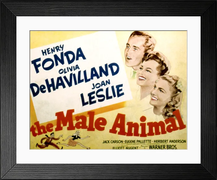 Framed Print : THE MALE ANIMAL, Henry Fonda, Olivia de Havilland, Joan Leslie, 1942