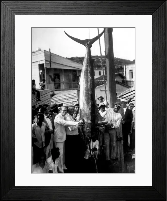 Framed Print : Ernest Hemingway (right) with a record breaking black-marlin caught on a recent fishing trip off the Cuban coast ca. 1935. Courtesy CSU Archives / Everett Collection Framed Print : Ernest Hemingway (right) with a record breaking black-marlin caught on a recent fishing trip off the Cuban coast ca. 1935. Courtesy CSU Archives / Everett Collection