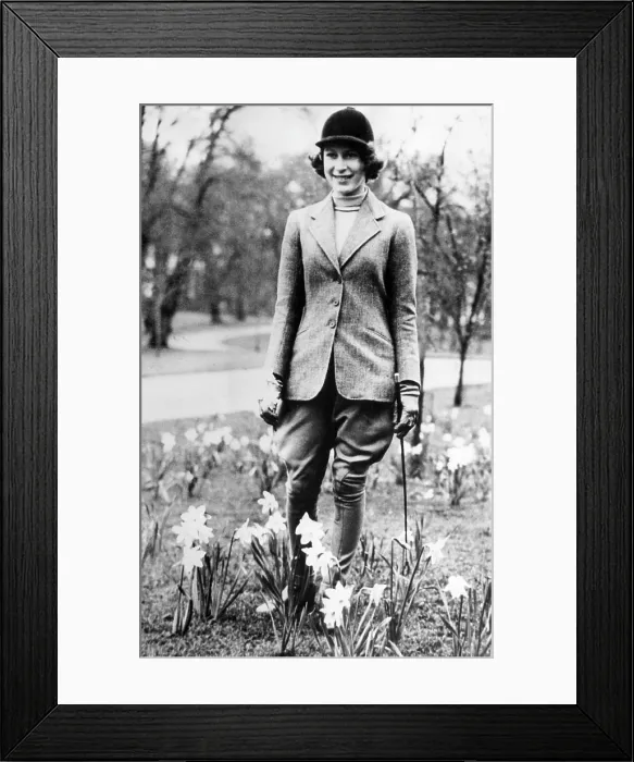 Framed Print : Princess Elizabeth of England, (the future Queen Elizabeth II), picking daffodils on her 14th birthday in Windsor Great Park, England, April 21, 1940 Framed Print : Princess Elizabeth of England, (the future Queen Elizabeth II), picking daffodils on her 14th birthday in Windsor Great Park, England, April 21, 1940