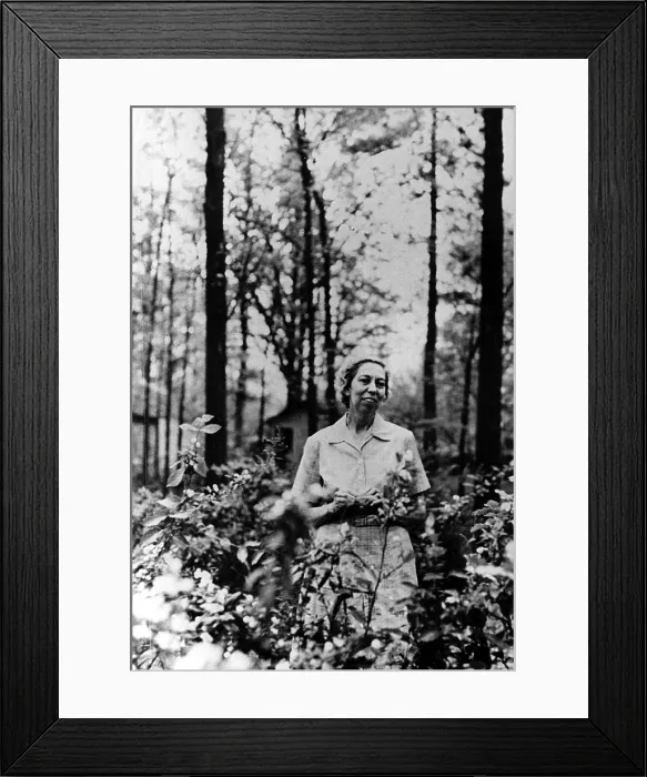 Framed Print : Eudora Welty, 1970. Courtesy: CSU Archives / Everett Collection Framed Print : Eudora Welty, 1970. Courtesy: CSU Archives / Everett Collection