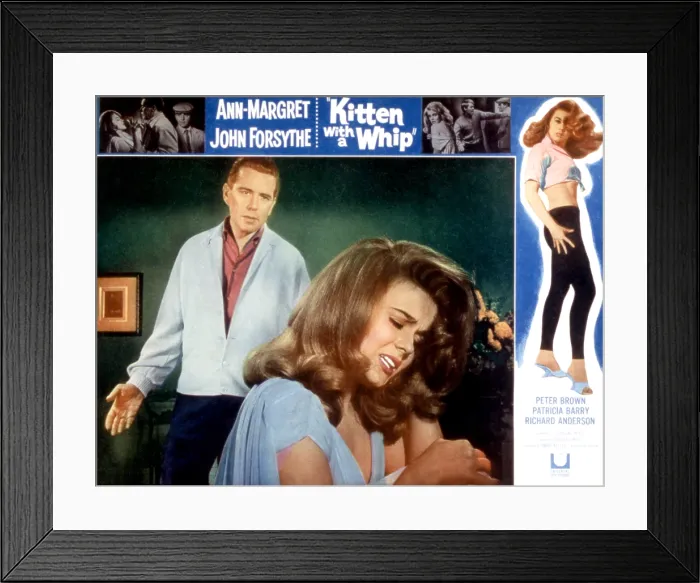 Framed Print : KITTEN WITH A WHIP, Poster Art, Ann-Margret, John Forsythe, 1964 Framed Print : KITTEN WITH A WHIP, Poster Art, Ann-Margret, John Forsythe, 1964