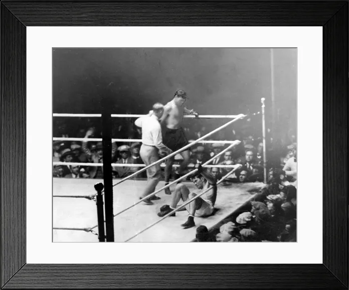 Framed Print : Jack Dempsey knocks down Gene Tunney in 7th round of Controversial fight. After miscount by referee, Tunney recovers and beats Dempsey, retaining his title by unanimous decision
