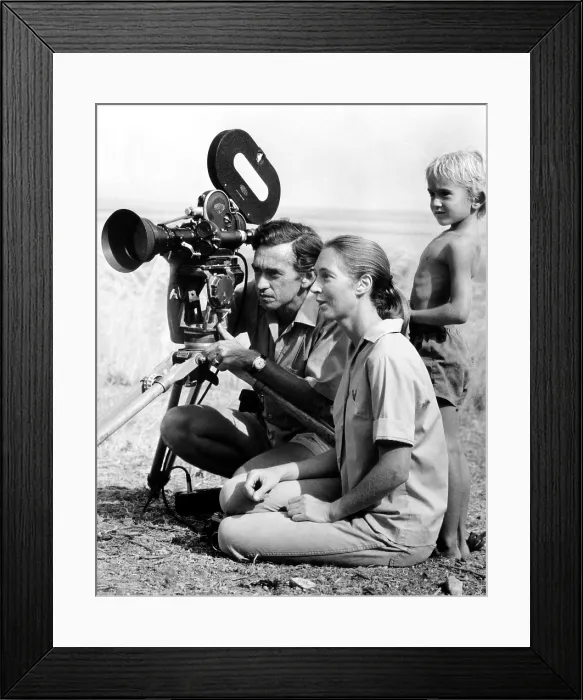 Framed Print : Hugo van Lawick, Jane Goodall, and their son, Grub study the lifestyles of Baboons in Tanzania. ca 1976. Courtesy: CSU Archives / Everett Collection Framed Print : Hugo van Lawick, Jane Goodall, and their son, Grub study the lifestyles of Baboons in Tanzania. ca 1976. Courtesy: CSU Archives / Everett Collection
