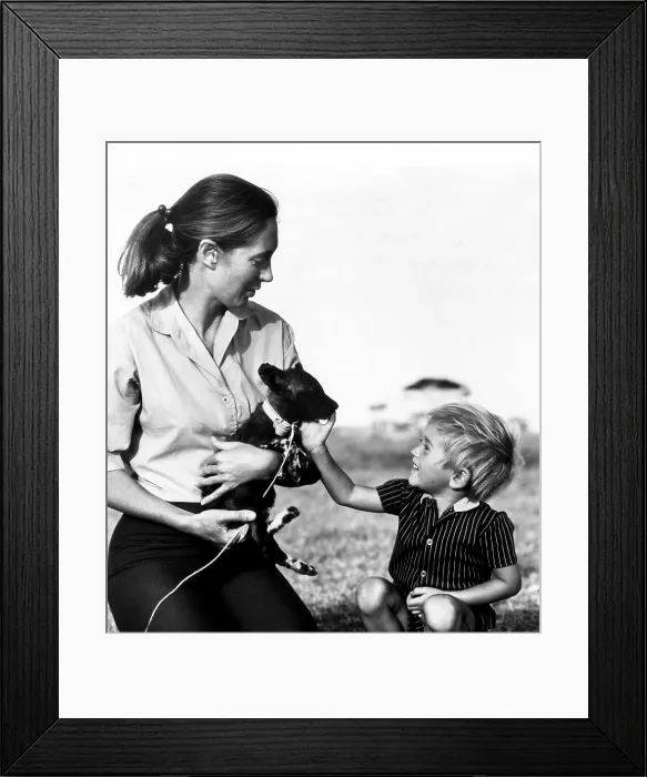 Framed Print : Jane Goodall and her son, Grub. ca 1976. Courtesy: CSU Archives / Everett Collection Framed Print : Jane Goodall and her son, Grub. ca 1976. Courtesy: CSU Archives / Everett Collection