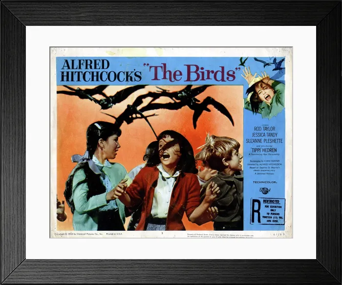 Framed Print : THE BIRDS, Veronica Cartwright, 1963 Framed Print : THE BIRDS, Veronica Cartwright, 1963