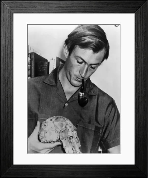 Framed Print : Richard Leakey, paleontologist and archaeologist, circa 1970s. Courtesy: CSU Archives / Everett Collection