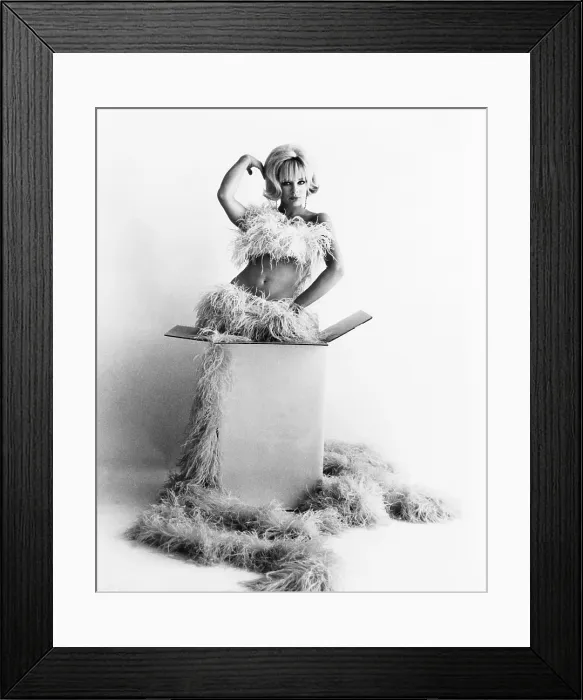 Framed Print : THE VENETIAN AFFAIR, Elke Sommer, 1967 Framed Print : THE VENETIAN AFFAIR, Elke Sommer, 1967