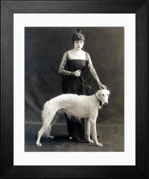 Framed Print : Theda Bara with her Russian wolfhound, Belva, 1916