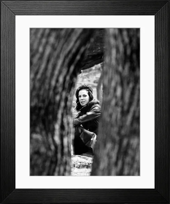 Framed Print : American author Jacqueline Susann, (1918-1974), 1969.. Courtesy: CSU Archives  /  Everett Collection