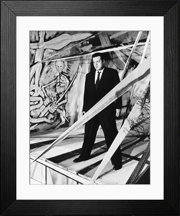 Framed Print : THE LADY FROM SHANGHAI, Orson Welles, 1947, tlfs1948ow-fsct011(tlfs1948ow-fsct011.jpg)