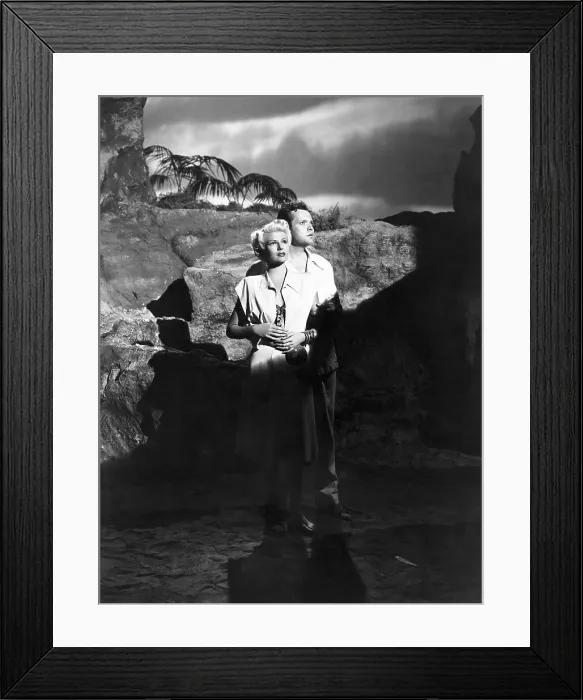 Framed Print : THE LADY FROM SHANGHAI, from left: Rita Hayworth, Orson Welles, 1947, tlfs1948ow-fsct012(tlfs1948ow-fsct012.jpg)