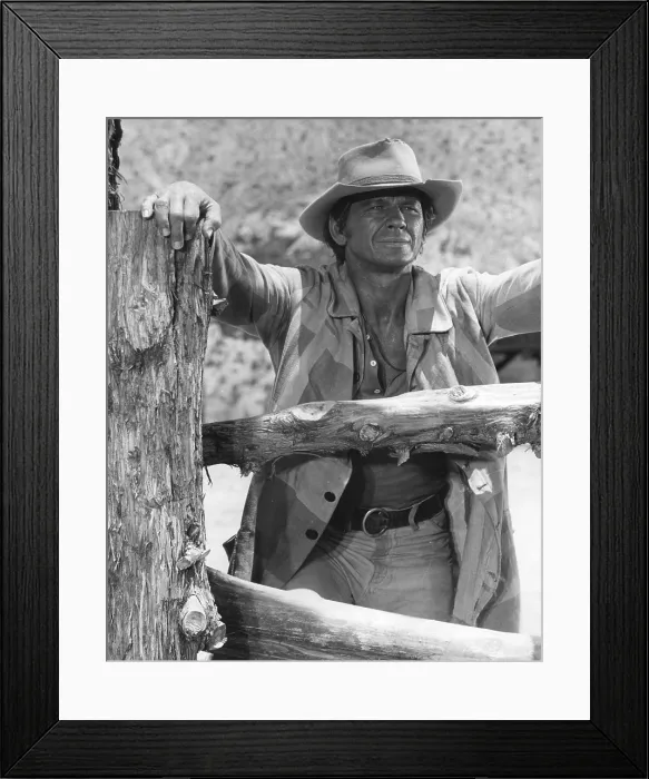 Framed Print : ONCE UPON A TIME IN THE WEST, Charles Bronson, 1968 ouatitw1968-fsct34(ouatitw1968-fsct34)