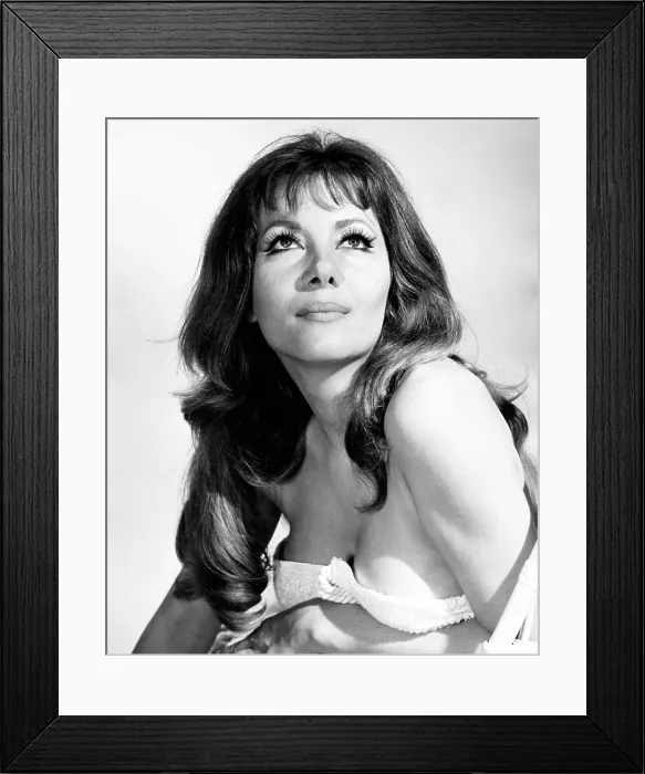 Framed Print : THE VAMPIRE LOVERS, Ingrid Pitt, 1970 thevampirelovers1970-fsct04(thevampirelovers1970-fsct04) Framed Print : THE VAMPIRE LOVERS, Ingrid Pitt, 1970 thevampirelovers1970-fsct04(thevampirelovers1970-fsct04)