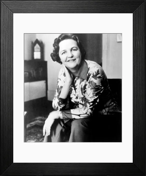 Framed Print : Civil rights activist Jessica Mitford, (aka Decca), (1917-1996), c. 1977.. Courtesy: CSU Archives / Everett Collection Framed Print : Civil rights activist Jessica Mitford, (aka Decca), (1917-1996), c. 1977.. Courtesy: CSU Archives / Everett Collection