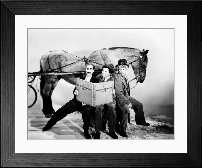 Framed Print : A DAY AT THE RACES, from left: Groucho Marx, Chico Marx, Harpo Marx, 1937 dayattheraces-fsct05(dayattheraces-fsct05)