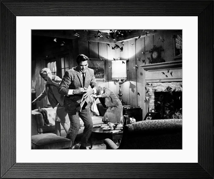 Framed Print : THE BIRDS, from left: Tippi Hedren, Rod Taylor, Jessica Tandy, 1963 thebirds-fsc19(thebirds-fsc19)