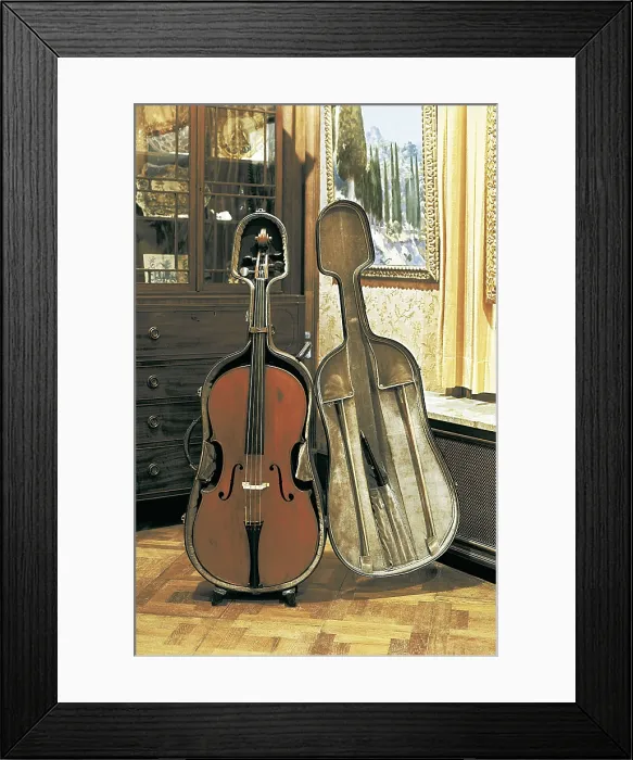 Framed Print : CASALS, Pau (1876-1973). Casals cello. SPAIN. El Vendrell. Pau Casals House Museum. AISA / Everett Collection**US SALES ONLY**
