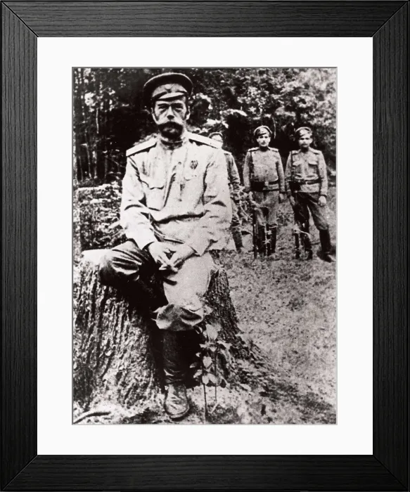 Framed Print : Nicholas II. Nicholas II arrested by the Bolshevik soldiers in Tobolsk (Siberia). RUSSIA. TYUMEN. Tobolsk. AISA / Everett Collection**US SALES ONLY** Framed Print : Nicholas II. Nicholas II arrested by the Bolshevik soldiers in Tobolsk (Siberia). RUSSIA. TYUMEN. Tobolsk. AISA / Everett Collection**US SALES ONLY**