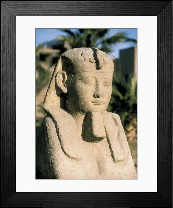 Framed Print : Temple of Amon - Ra. EGYPT. QUENA. Luksor. Thebes. Temple of Amon - Ra. Avenue of ram's-head sphinxes. Detail of a sphinx. Egyptian art. New Kingdom. Architecture