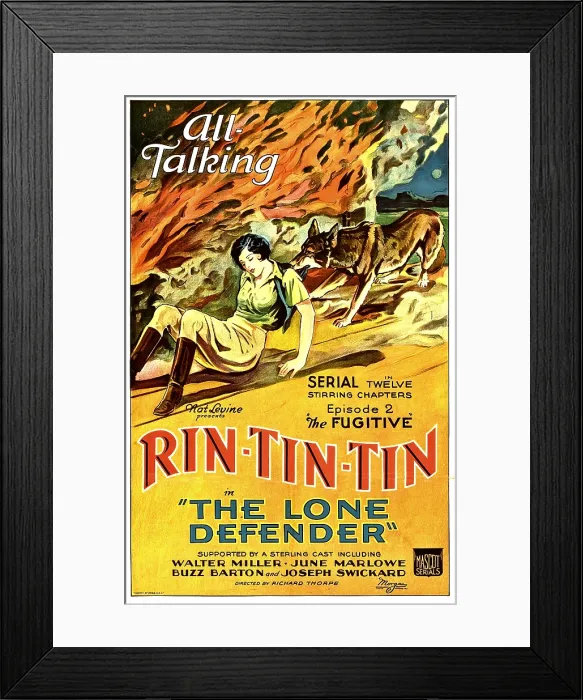 Framed Print : THE LONE DEFENDER, from left: June Marlowe, Rin-Tin-Tin in Episode 2: The Fugitive, 1930