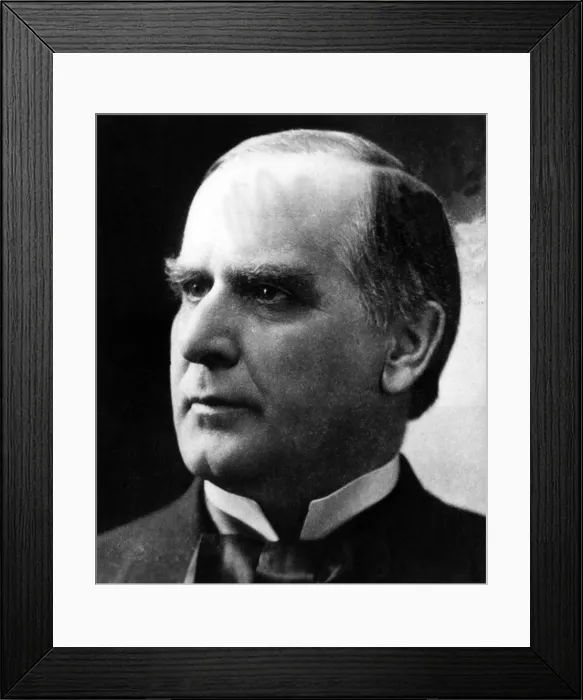 Framed Print : William McKinley, (1843-1901), U.S. President 1897-1901, c. 1890's.. Courtesy: CSU Archives  /  Everett Collection