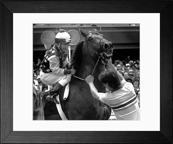 Framed Print : Willie Shoemaker steadies his mount, War Allied, at Hollywood Park, -Inglewood, Calif. 5 / 28 / 1981. Courtesy: CSU Archives  /  Everett Collection