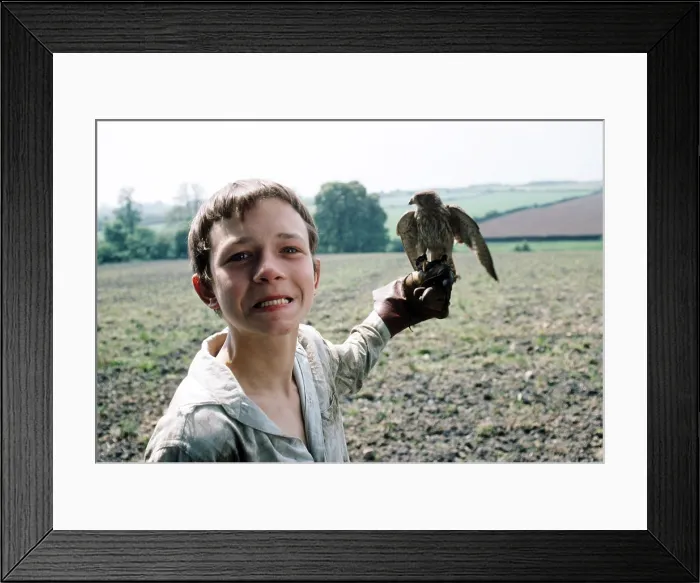 Framed Print : KES, David Bradley, 1969 kes1969-fsct02(kes1969-fsct02) Framed Print : KES, David Bradley, 1969 kes1969-fsct02(kes1969-fsct02)