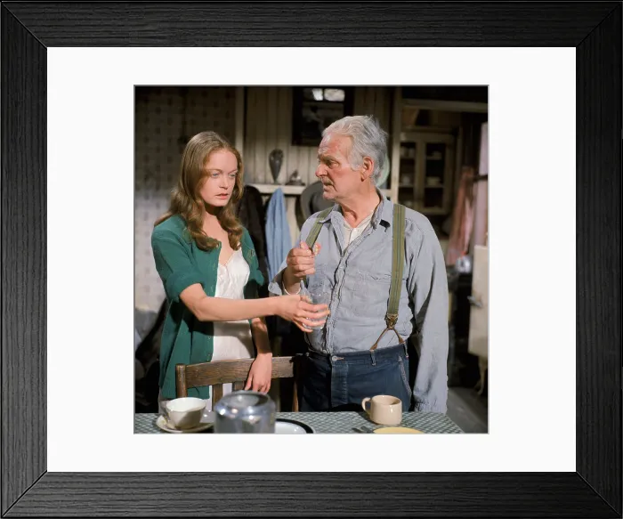 Framed Print : A PATCH OF BLUE, from left: Elizabeth Hartman, Wallace Ford, 1965 Framed Print : A PATCH OF BLUE, from left: Elizabeth Hartman, Wallace Ford, 1965