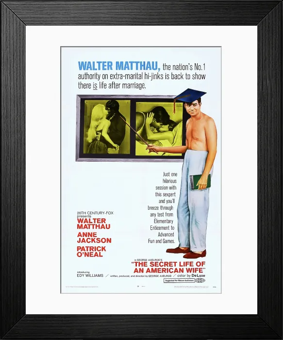 Framed Print : THE SECRET LIFE OF AN AMERICAN WIFE, US poster art, Walter Matthau, 1968. TM & Copyright 20th Century-Fox Film Corp. All rights reserved / courtesy Everett Collection