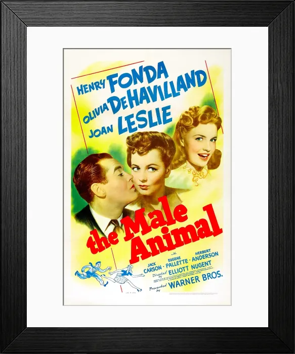 Framed Print : THE MALE ANIMAL, US poster, from left: Henry Fonda, Olivia de Havilland, Joan Leslie, 1942 Framed Print : THE MALE ANIMAL, US poster, from left: Henry Fonda, Olivia de Havilland, Joan Leslie, 1942