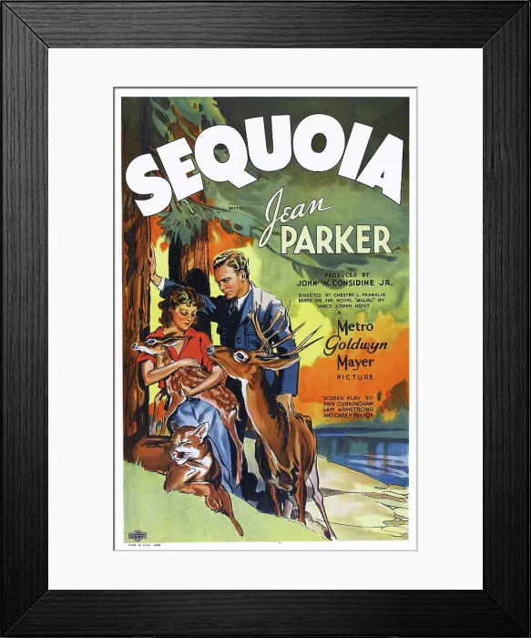 Framed Print : SEQUOIA, US poster art, from right: Jean Parker, Russell Hardie, 1934