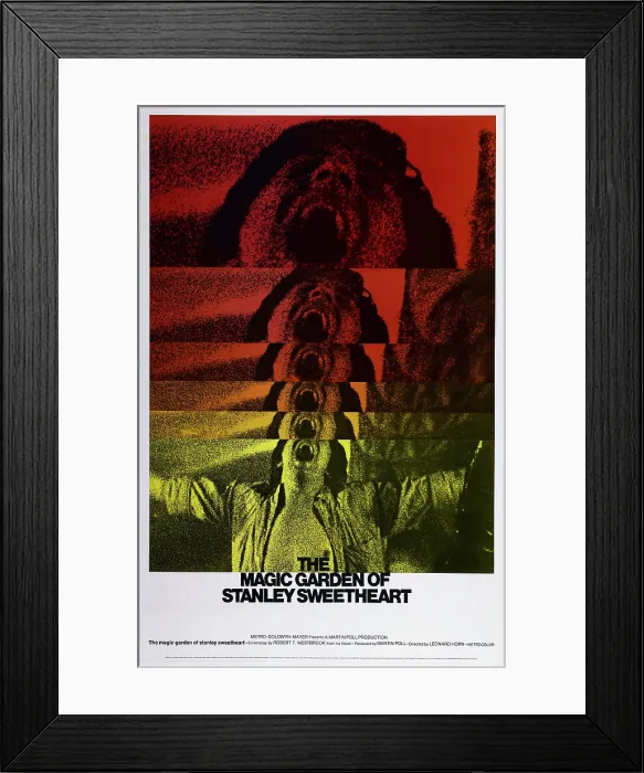 Framed Print : THE MAGIC GARDEN OF STANLEY SWEETHEART, US poster art, Don Johnson, 1970