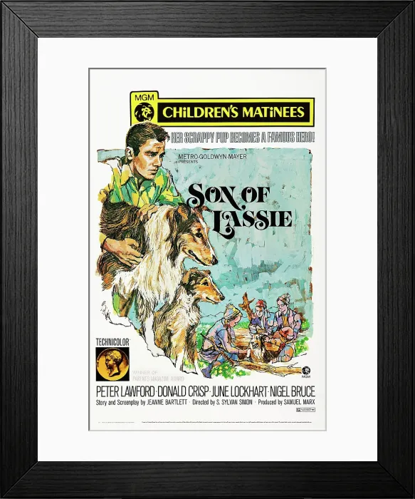 Framed Print : SON OF LASSIE, US poster art, left: Peter Lawford, 1945 Framed Print : SON OF LASSIE, US poster art, left: Peter Lawford, 1945