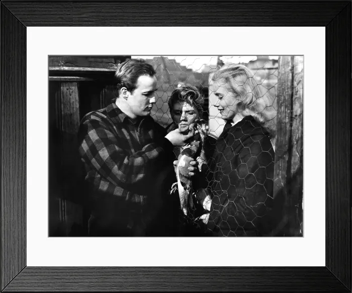 Framed Print : ON THE WATERFRONT, Marlon Brando, Arthur Keegan, Eva Marie Saint, 1954 Framed Print : ON THE WATERFRONT, Marlon Brando, Arthur Keegan, Eva Marie Saint, 1954