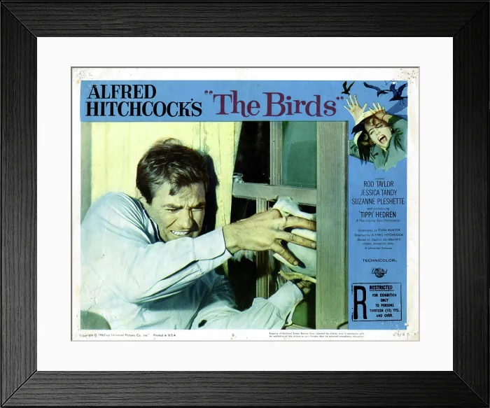 Framed Print : THE BIRDS, Rod Taylor, 1963